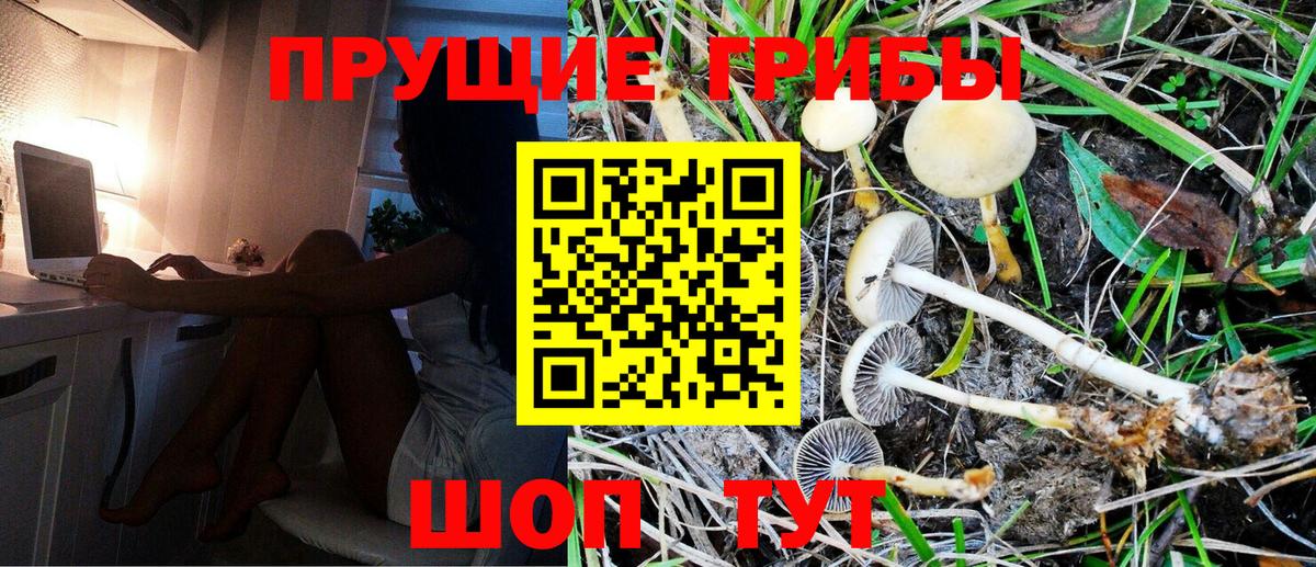 Псилоцибиновые грибы Cubensis  Вход с VPN  Галлюциногенные грибы Psilocybe  Чернушка 