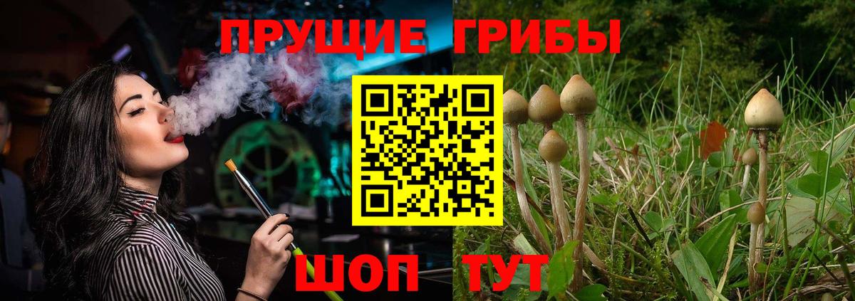 Псилоцибиновые грибы мухоморы Чернушка