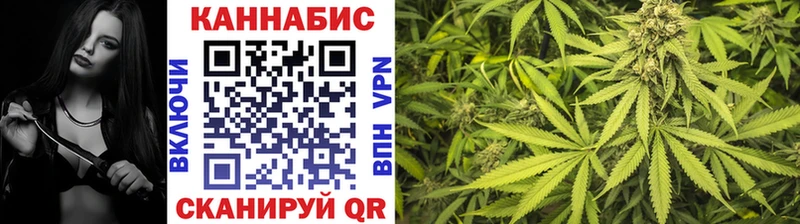 Каннабис White Widow  Чернушка 